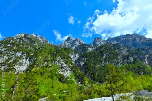 Obraz na płótnie Mountains in springtime above Krma in Gorenjska, Slovenia w salonie