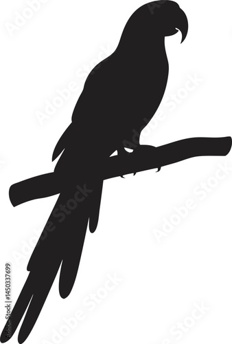 Parrot Silhouette PNG Transparent Background