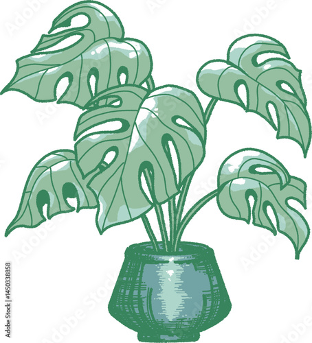 観葉植物のイラスト
