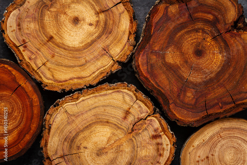 Wood log tree slices on black chalkboard. Flat lay. Top view