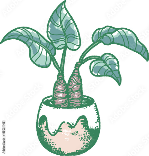 観葉植物のイラスト