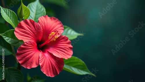 Wallpaper Mural Bold tropical hibiscus, lush leaves, vibrant color palette , bright, texture Torontodigital.ca