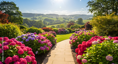 Fototapeta Naklejka Na Ścianę i Meble -  Idyllic Summer Garden Path Framed By Lush Hydrangeas In Vibrant Bloom