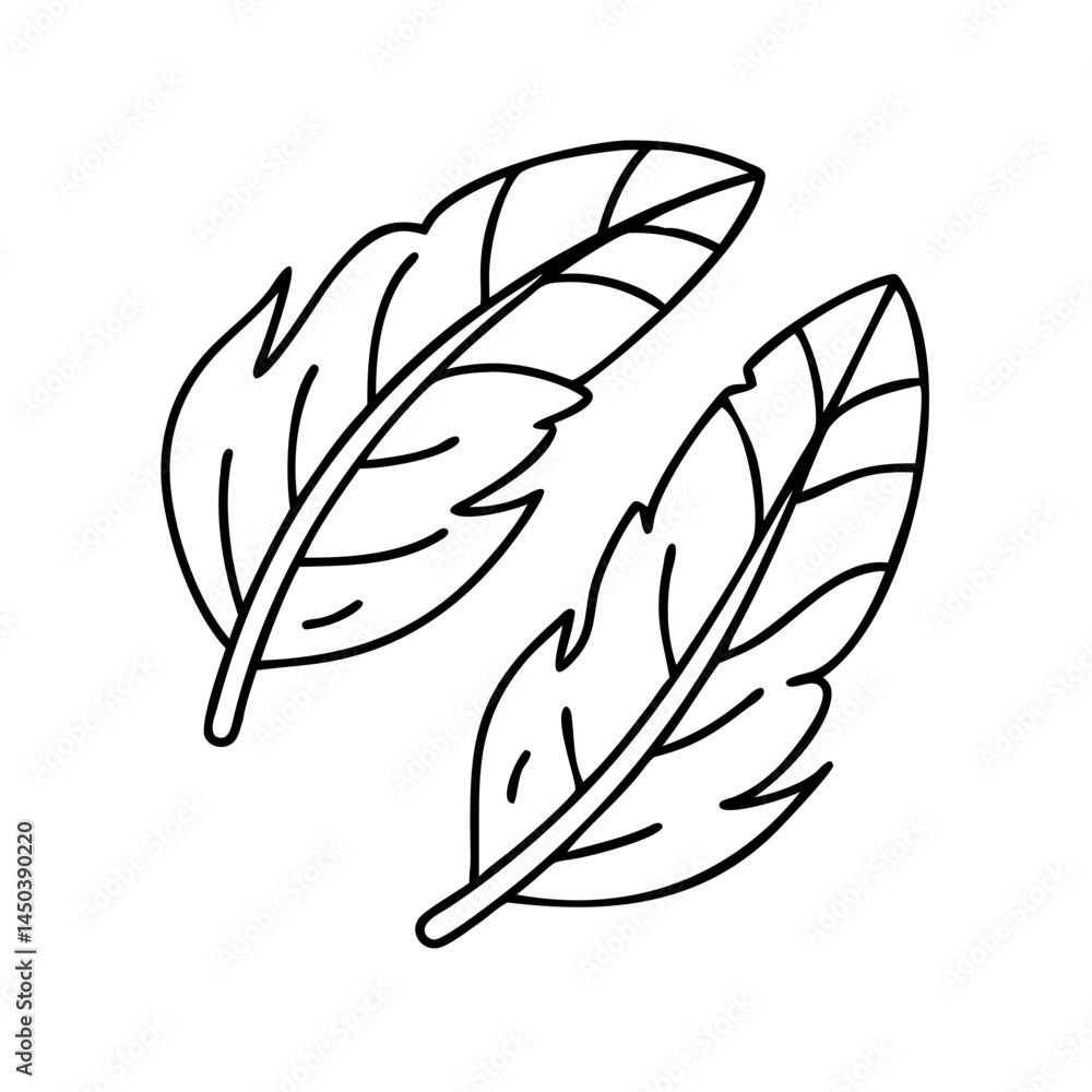 duck feathers icon, duck feathers line art - simple line art of duck feathers, perfect for duck feathers logos and icons duck feathers icon, duck feathers line art - simple line art of duck feathers, perfect for duck feathers logos and icons