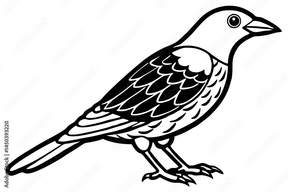 Fototapeta premium Cute Bird Line Art Vector – Minimalist Bird Illustration, Logo Icon & Clip art on White Background