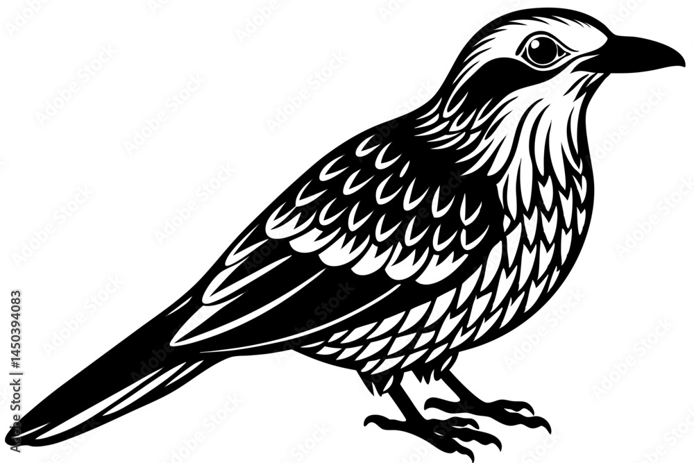 Fototapeta premium Cute Bird Line Art Vector – Minimalist Bird Illustration, Logo Icon & Clip art on White Background