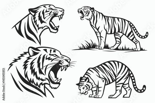 Set of big tigers. Collection of portraits of predatory wild cats. Set of wildlife and fauna dwellers. Vector illustration on a white background. Tattoo.