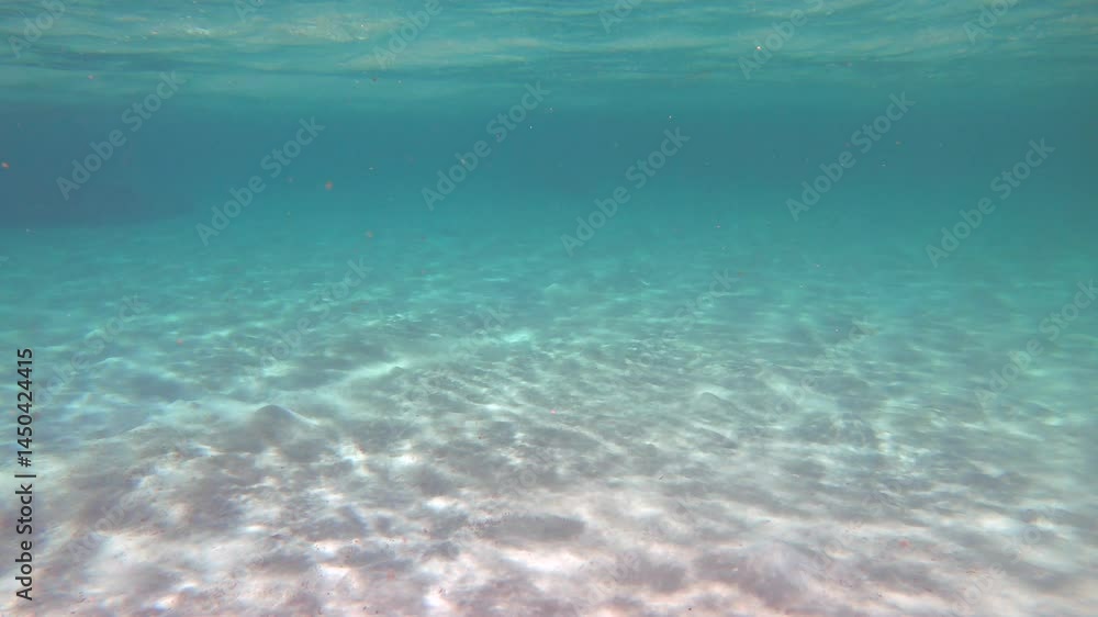 Crystal clear sea water in Marsa Alam, Red Sea, Egypt. Underwater view of Egyptian coast and blue waters near coral reef. No people, copy space Crystal clear sea water in Marsa Alam, Red Sea, Egypt. Underwater view of Egyptian coast and blue waters near coral reef. No people, copy space