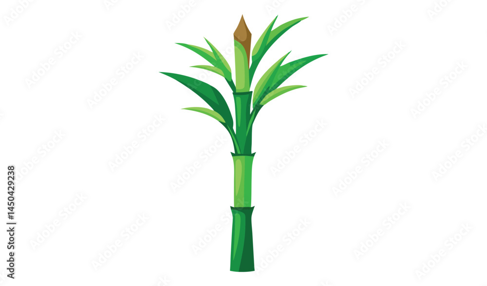 Fototapeta premium bamboo isolated on white background