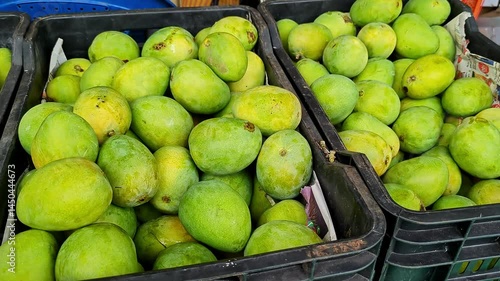 Close-up shot of Alphonso mangoes, also known as Hapus or Ratnagiri mangoes, on display for sale