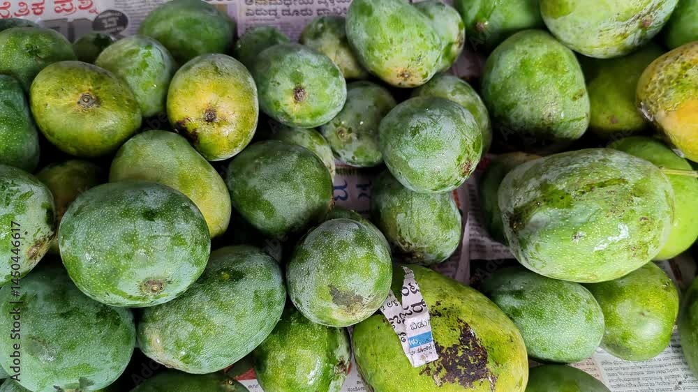 Close-up pan shot of Kalapadi or Kalapad or Kimunyi mangoes on display for sale Close-up pan shot of Kalapadi or Kalapad or Kimunyi mangoes on display for sale