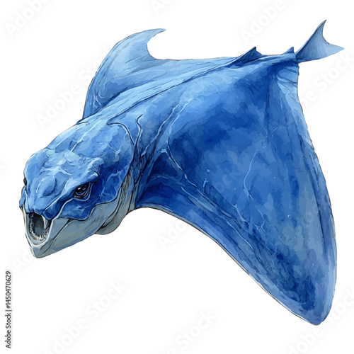 Giant Manta Ray Near The Surface, vector watercolor illustration, isolated on a white background.