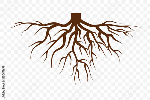 symmetric root silhouette. EPS 10.
