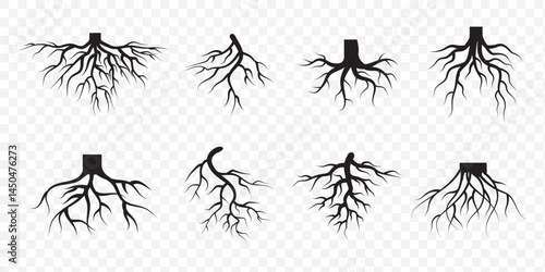 Tree root icon set. Tree root silhouette set. EPS 10