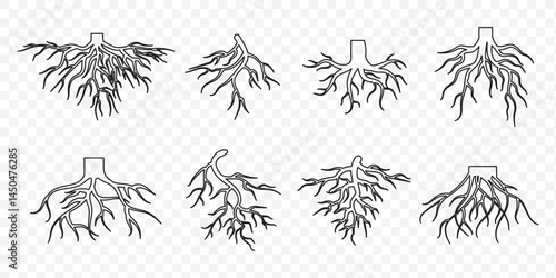 Tree root icon set. Tree root silhouette set. EPS 10