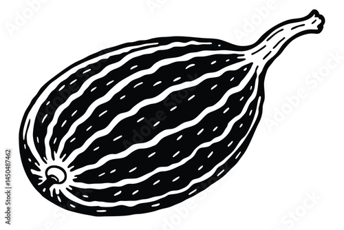 Ash Gourd Vector Illustration Isolated on White Background

