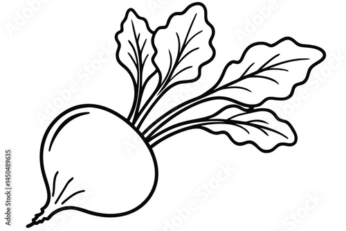 Beet Greens Vegetable Vector Illustration on White Background

