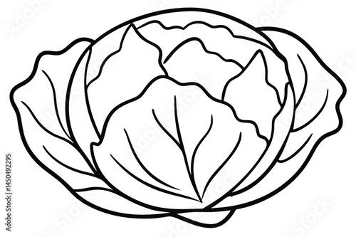 Brussels Sprouts Vegetable Vector Illustration on White Background

