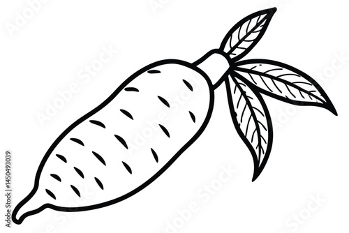 Cassava Yuca Vegetable Vector Illustration on White Background

