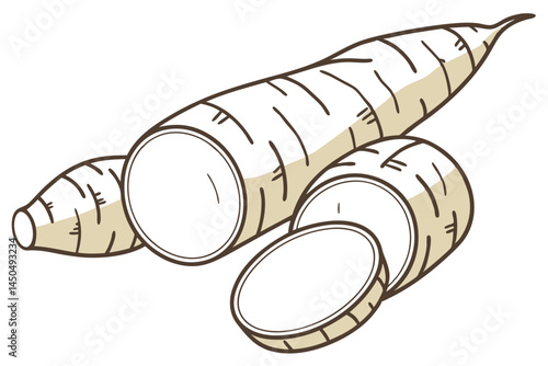 Cassava Yuca Vegetable Vector Illustration on White Background

