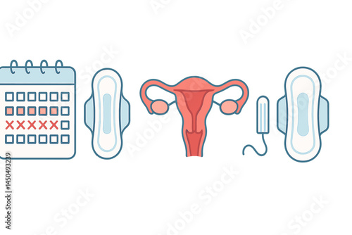 Understanding menstrual health through flat vector illustrations depicting cycles and feminine hygiene products