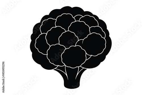 Cauliflower Vegetable Vector Illustration on White Background

