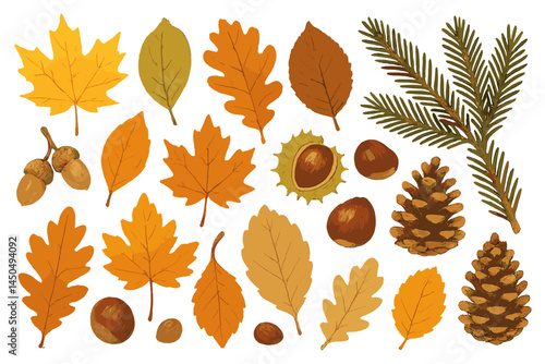 Flat vector illustration of autumn leaves, acorns, and pinecones showcasing seasonal elements in a colorful arrangement