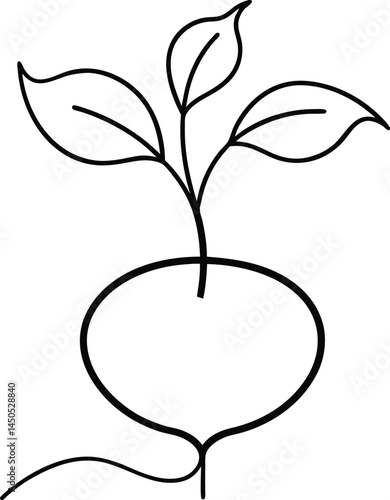 Botanical beetroot sketch in continuous line art drawing style showing detailed root form with minimal strokes excellent for vegetarian cuisine or nutrition concepts