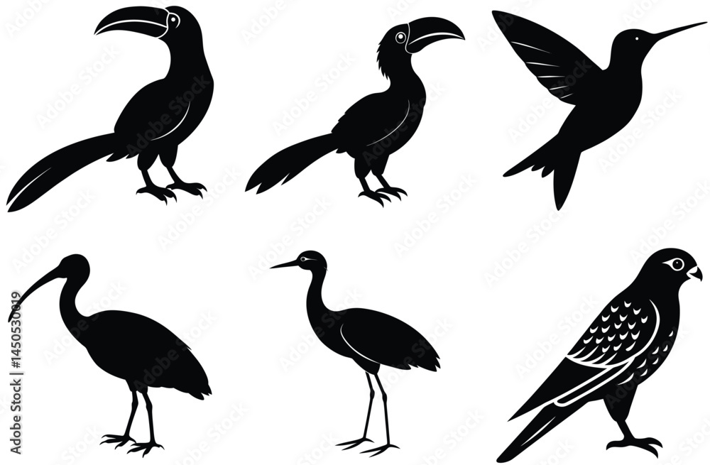 This image features a set of simple, black silhouettes of various birds, including a hornbill, hummingbird, ibis, heron, and a hawk. This image features a set of simple, black silhouettes of various birds, including a hornbill, hummingbird, ibis, heron, and a hawk.