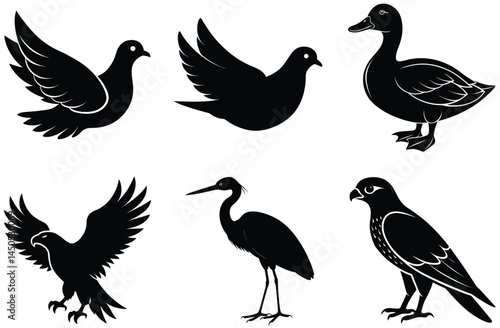 This image features a collection of black silhouette illustrations of various birds, including a dove, a duck, an eagle, a heron, and a hawk.
