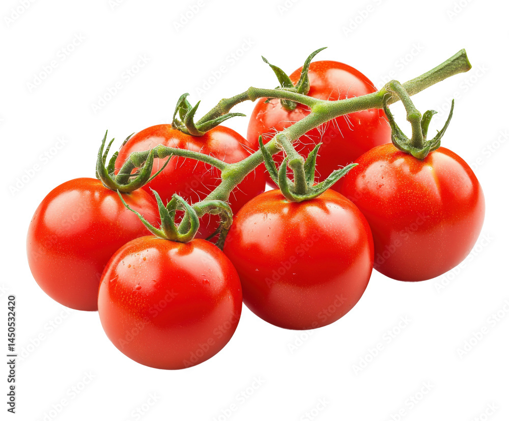 Harvesting fresh red tomatoes stunning natural vibrant colors isolated on transparent background Harvesting fresh red tomatoes stunning natural vibrant colors isolated on transparent background