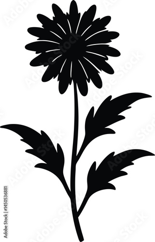 balsam ragwort flower silhouette vector on white