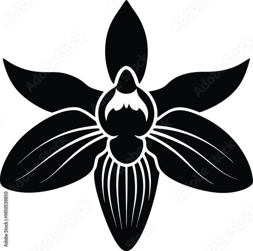 bee orchid flower silhouette vector on white 