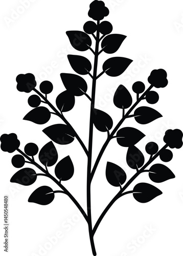 buckwheat plant silhouette vector on white 