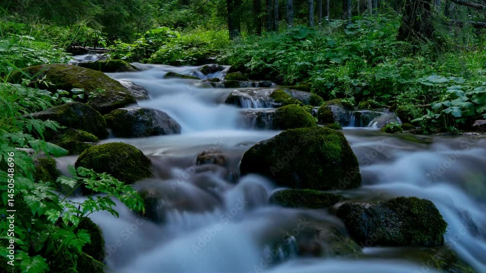 Pristine Nature Scene: Babbling Creek in Tatra Mountains - Timelapse Pristine Nature Scene: Babbling Creek in Tatra Mountains - Timelapse