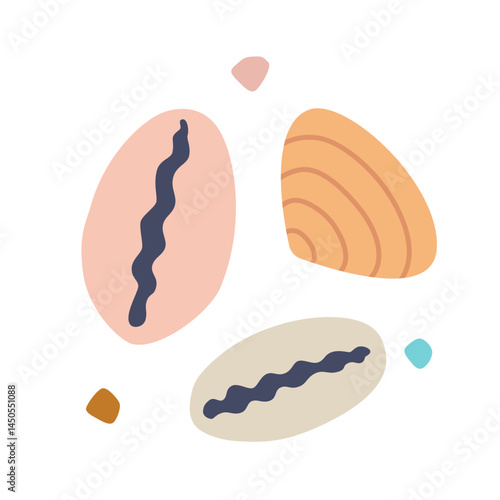 Marine seashells, Cypraeidae, Veneridae, Venus clams and pebbles. Shells for beach themes, nautical decor and ocean inspired designs. Trendy modern isolated vector illustration, hand drawn, flat