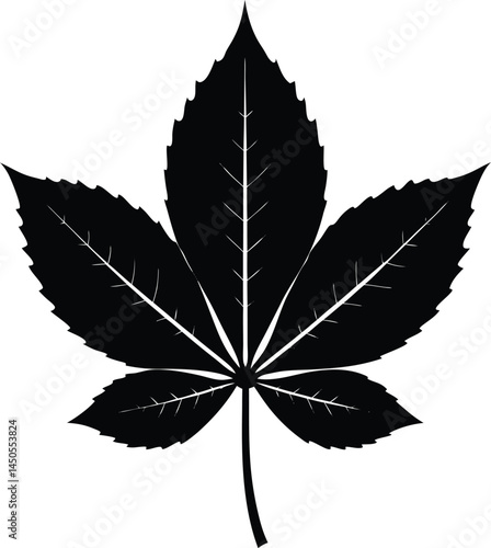 chestnut leaf silhouette vector on white 