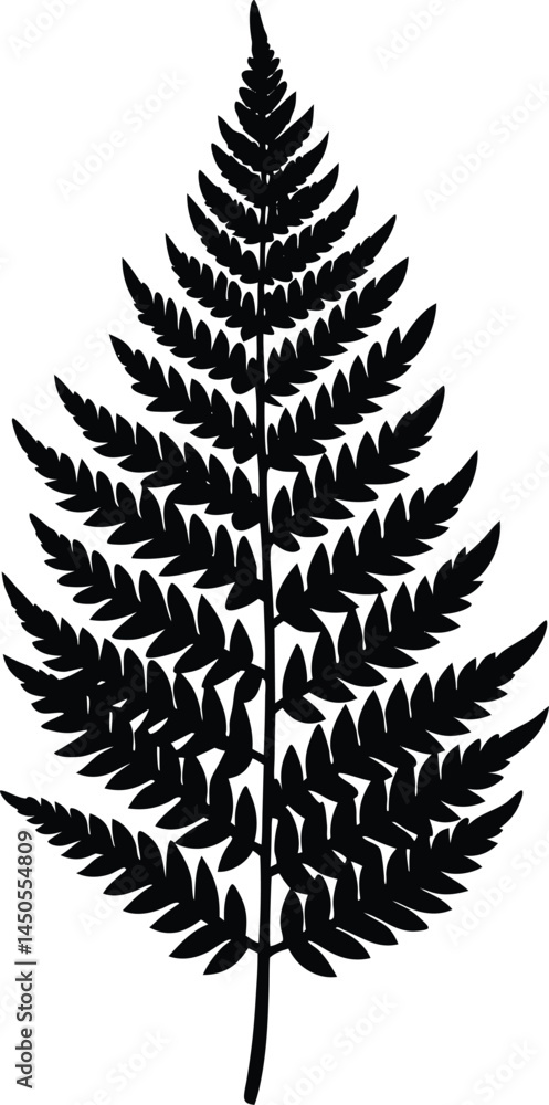 cinnamon fern silhouette vector on white cinnamon fern silhouette vector on white