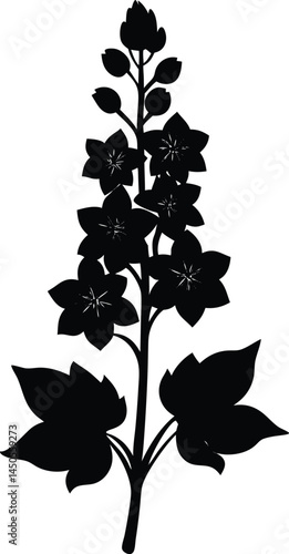 delphinium flower silhouette vector on white 