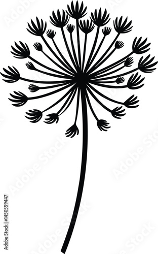 dill seed silhouette vector illustration on white 
