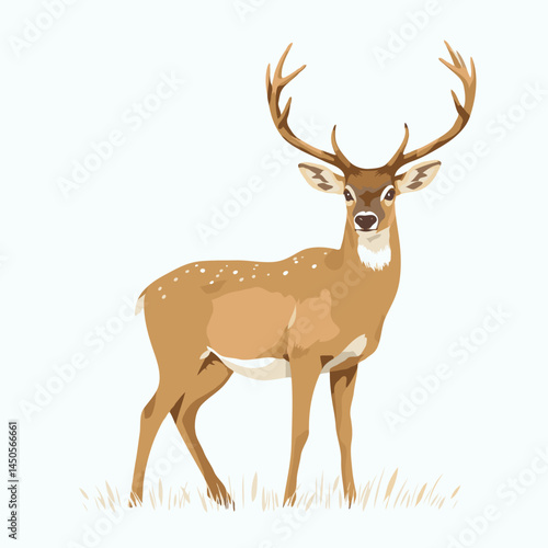 cute deer vector illustration on white