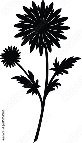 Wallpaper Mural golden ragwort flower silhouette vector on white  Torontodigital.ca