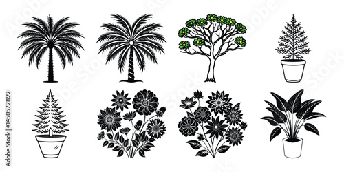 Three potted plants are arranged in a row, with one of them being a palm tree. The plants are all different sizes and shapes, but they all have a similar color scheme of green and brown