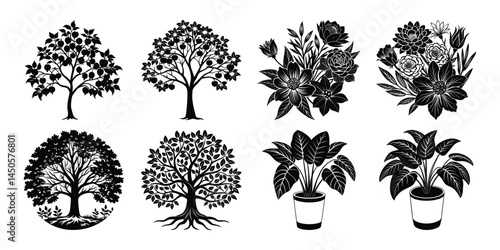 Three potted plants are arranged in a row, with one of them being a palm tree. The plants are all different sizes and shapes, but they all have a similar color scheme of green and brown