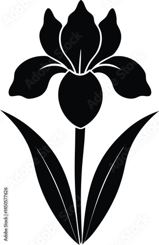 iris flower silhouette vector on white background 