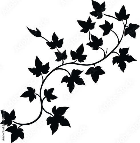 ivy vine silhouette vector on white background  