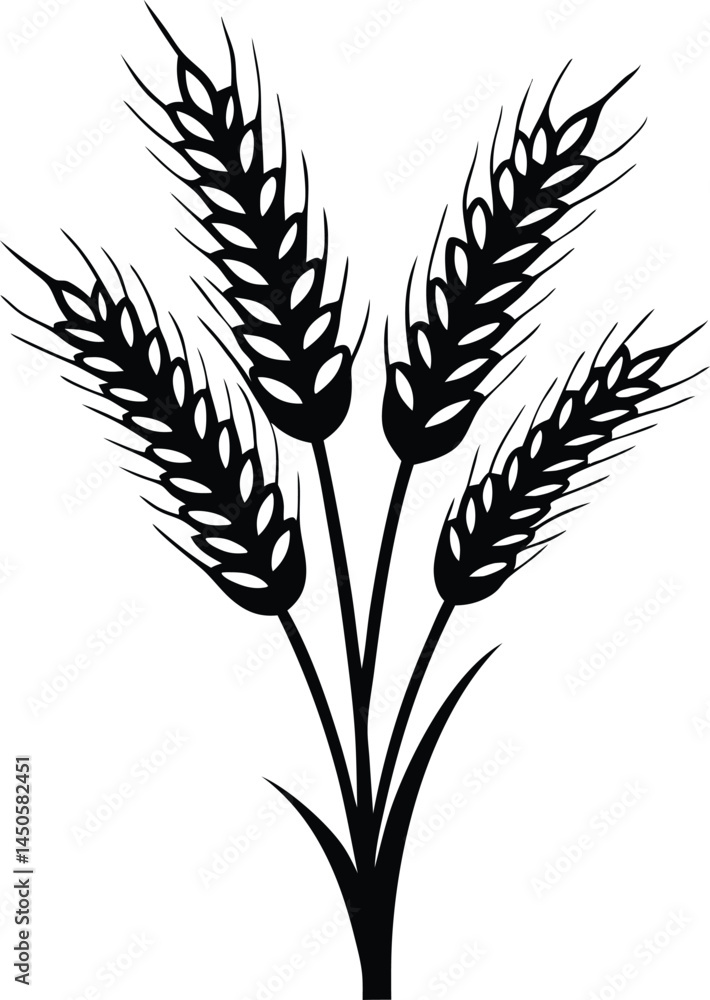 Wheat ears icon vector, agriculture wheat vector icon Wheat ears icon vector, agriculture wheat vector icon