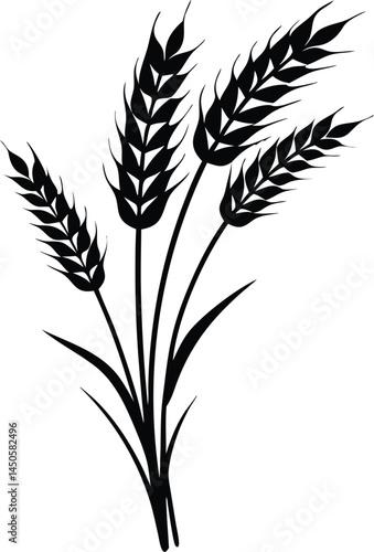 Wheat ears icon vector, agriculture wheat vector icon