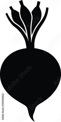 kohlrabi bulb silhouette vector on white 