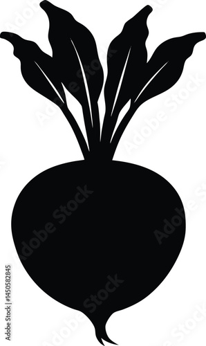kohlrabi silhouette vector on white background 